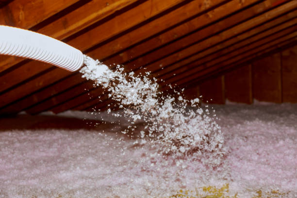 Best Spray Foam Insulation in Leonia, NJ