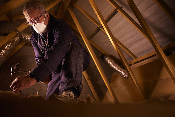 Types of Insulation We Offer in Leonia, NJ